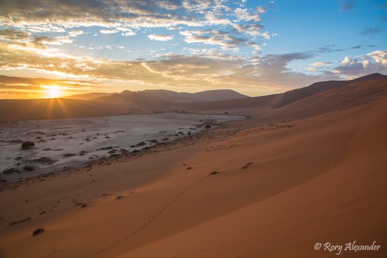 Rory Alexander Photography